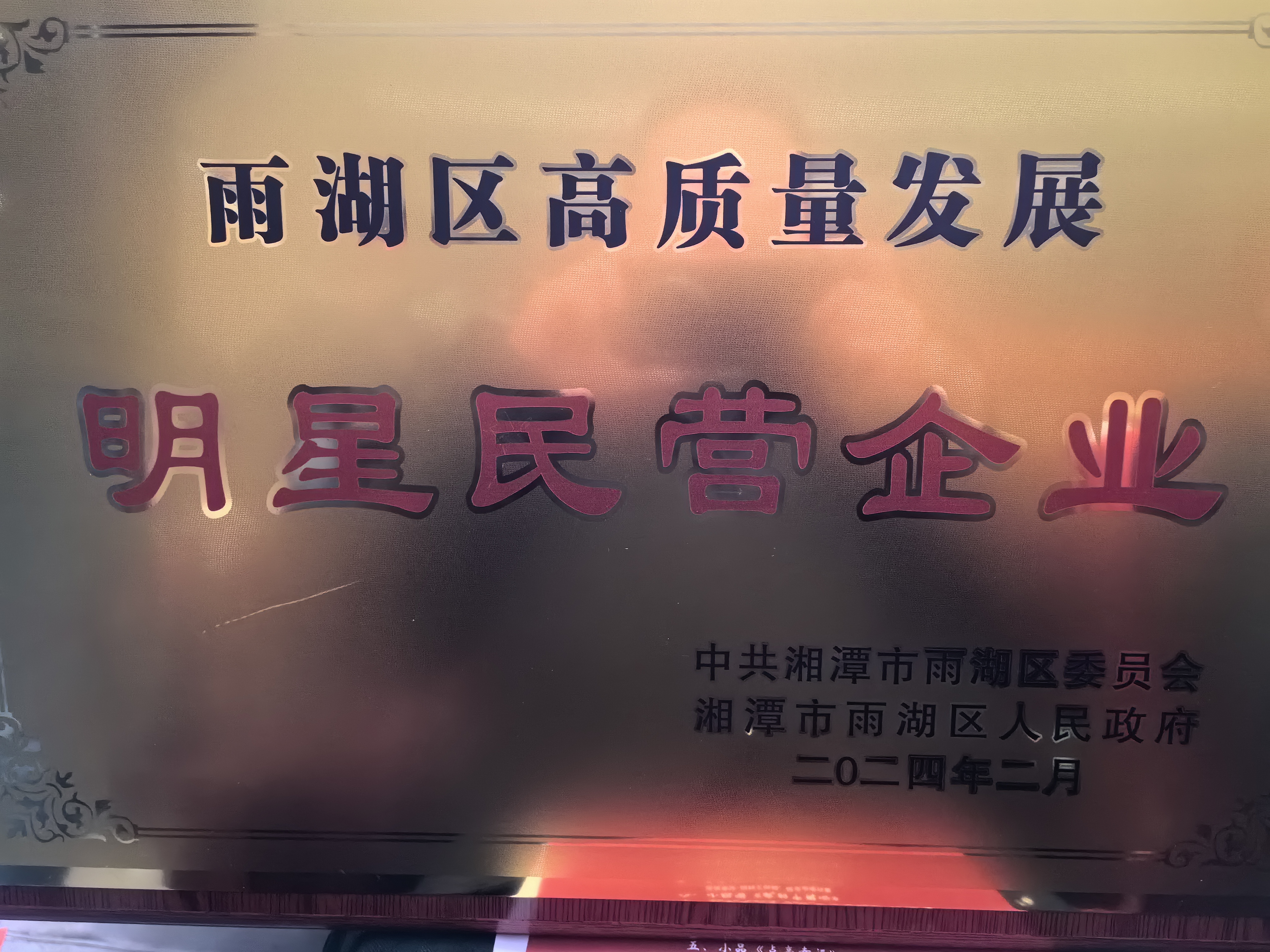 赢博·体育荣获“雨湖区高质量发展明星民营企业”称号